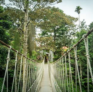 Hanging Bridge